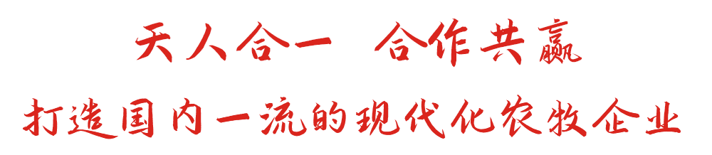 天人合一 合作共贏